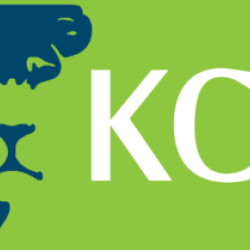BCC Kenya