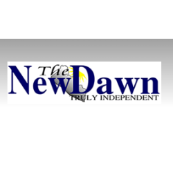 The New Dawn Online