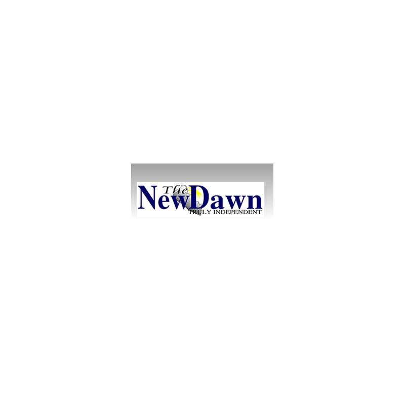 The New Dawn Online