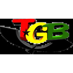 Televisão da Guiné-Bissau