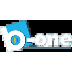 B-One