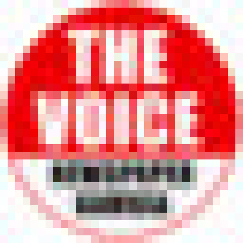 The Voice