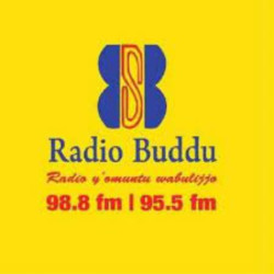 Buddu FM 95.5