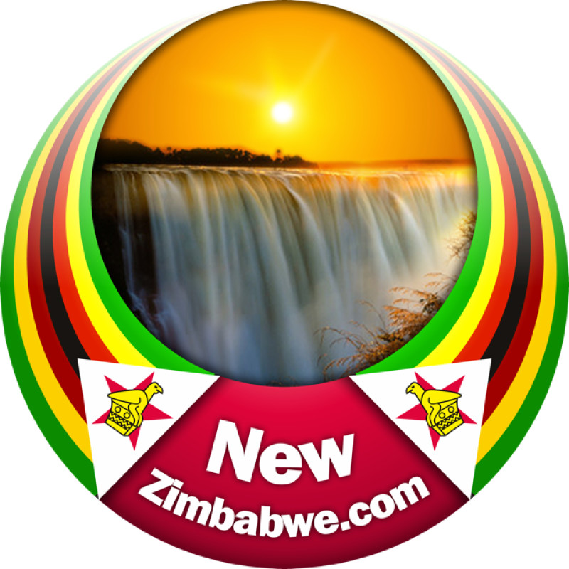 NewZimbabwe.com