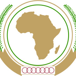 The African
