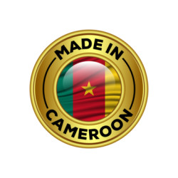 Cameroon Business