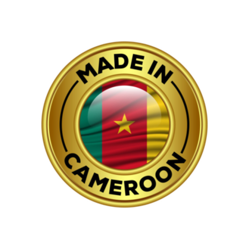 Cameroon Business