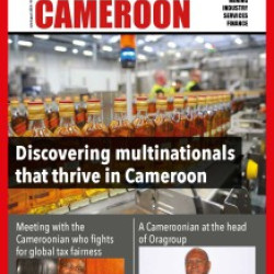 Cameroon Business