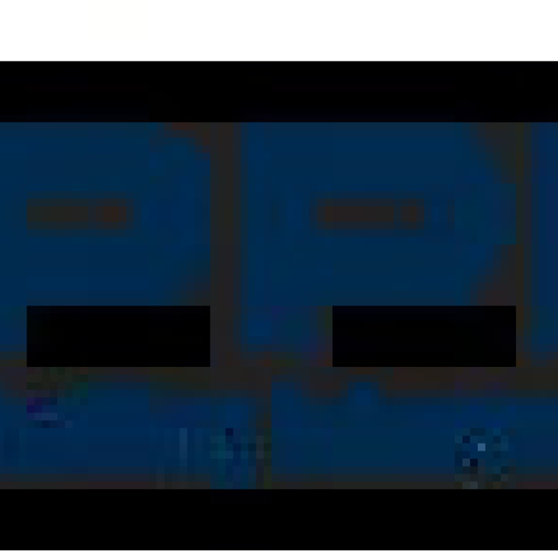 PPIAF