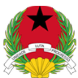 Guinea Bissau National Investment Agency