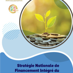 Le Financier de Madagascar