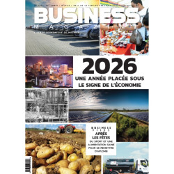 Business Mauritius