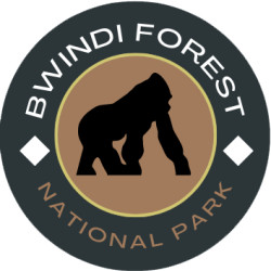 Bwindi