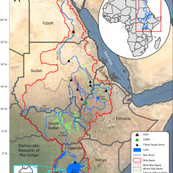 The Nile Post