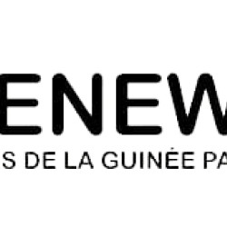 Guineenews
