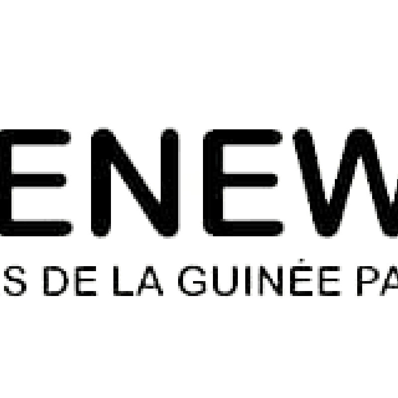 Guineenews