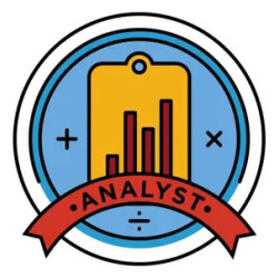 The Analyst
