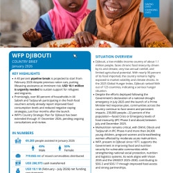Djibouti Affaires