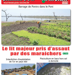 Carrefour Africain