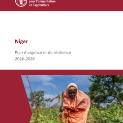 Niger Affaires