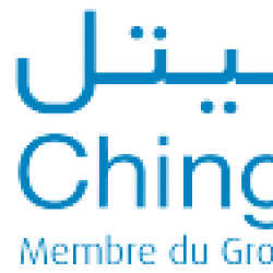 Chinguitel Info