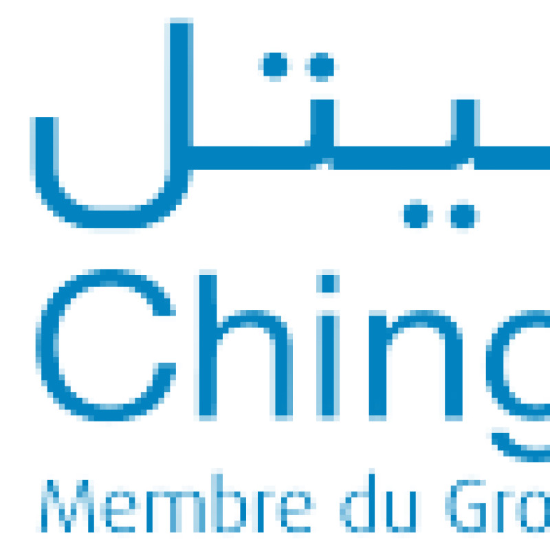Chinguitel Info