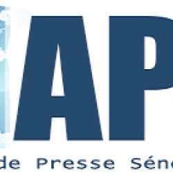 Agence de Presse Senegalaise - Economie