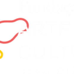 Fundação Arte e Cultura