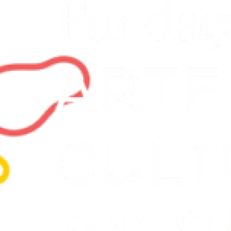 Fundação Arte e Cultura