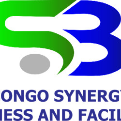 Synergies Business Congo