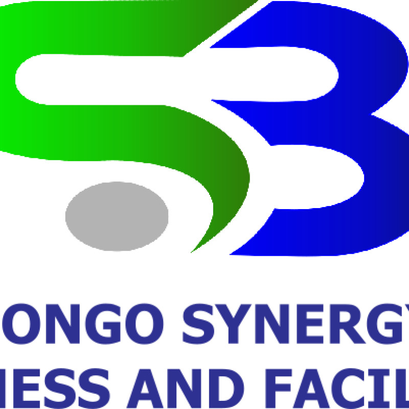 Synergies Business Congo