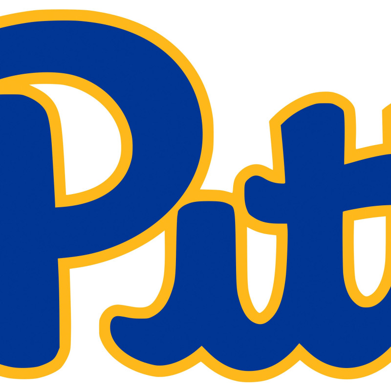 Pittsburgh Panthers