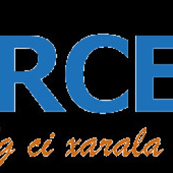 FORCE-N