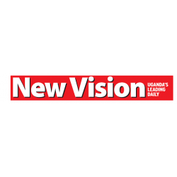 The New Vision