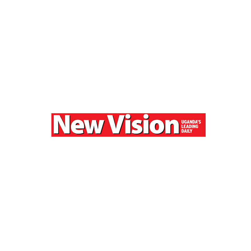 The New Vision