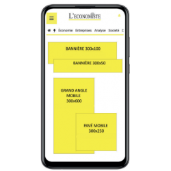 L'economiste website