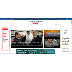 Daily News Egypt website